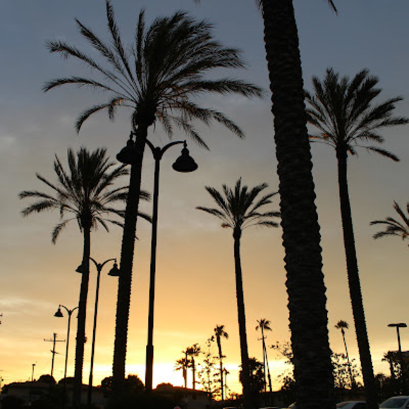 Meet your Posher, Fayha - Picture 1 of 1